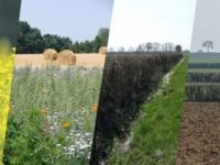 Ap&eacute;ro-d&eacute;bat, le mercredi 12 f&eacute;vrier &agrave; 18h - Peut-on concilier biodiversit&eacute;, agriculture et nouvelles biotechnologies ?